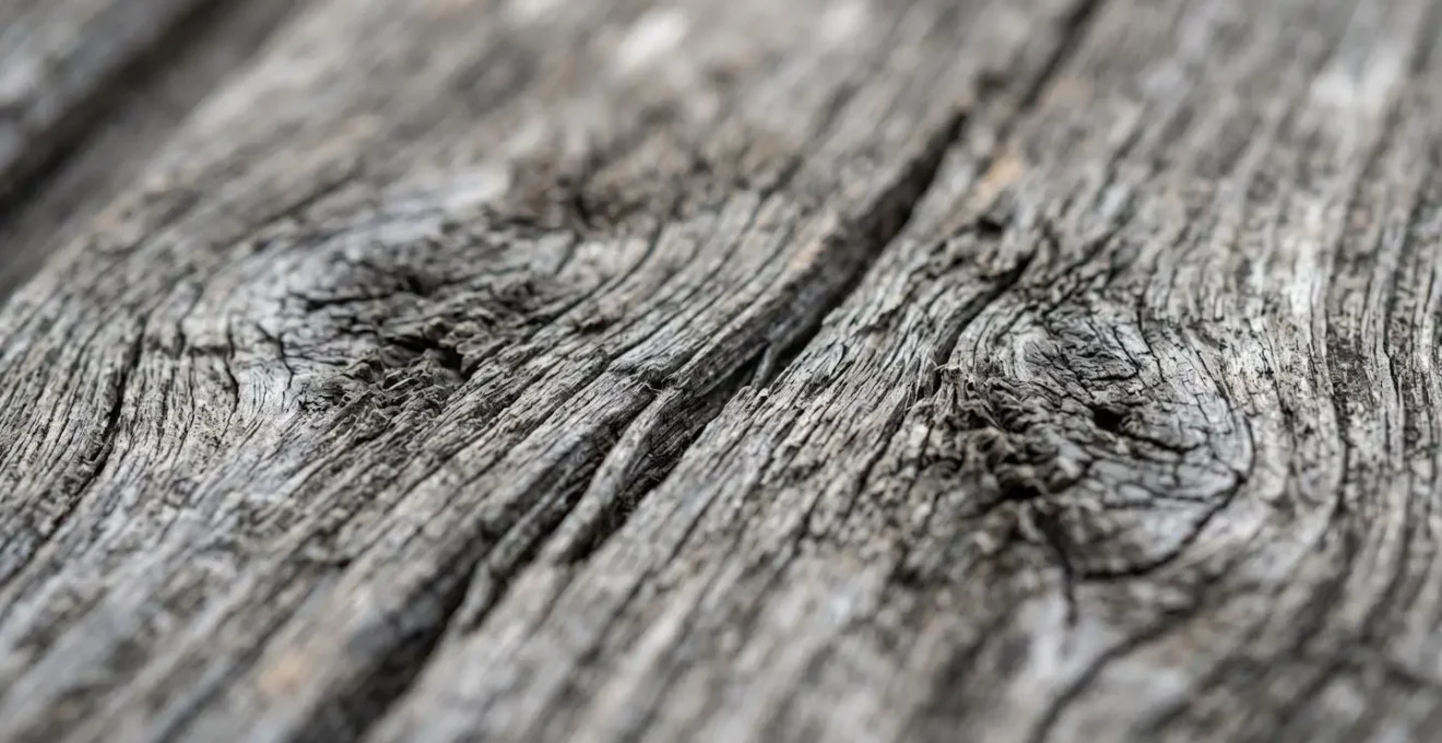 Détail macro du grain et de la texture d'une lame de bardage en bois naturel vieilli